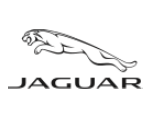 Jaguar_1
